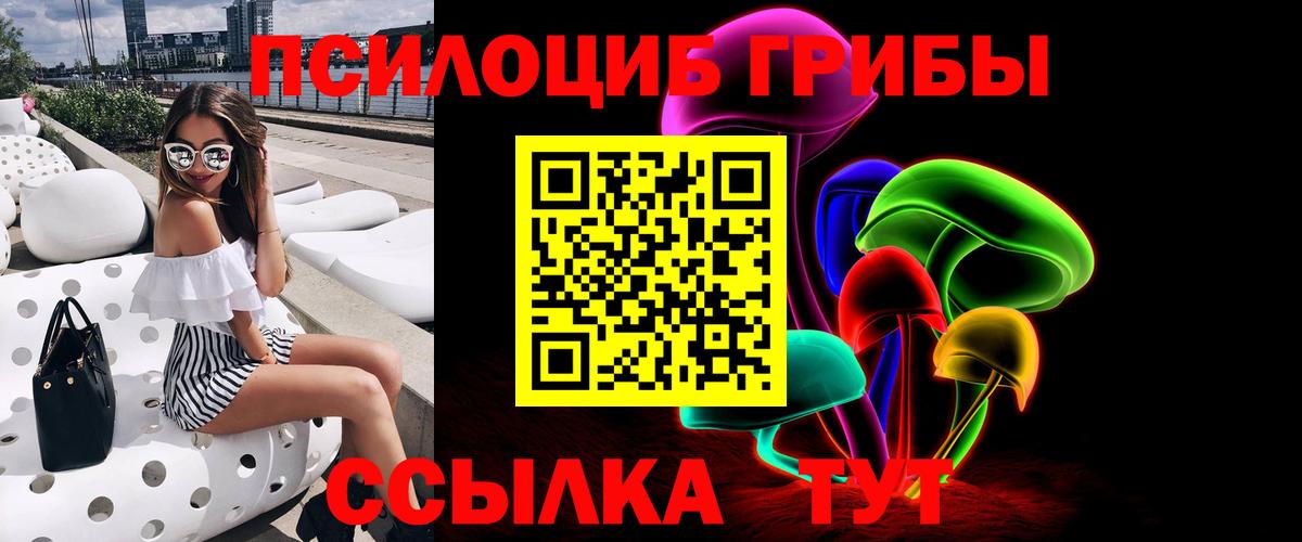 Галлюциногенные грибы мицелий  Галлюциногенные грибы Psilocybe  Елизово  Вход с VPN 